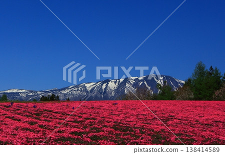 Red carpet and snow-covered mountains Red carpet and snow-covered mountains 138414589