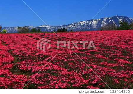 紅毯和白雪皚皚的山峰 紅毯和白雪皚皚的山峰 138414590