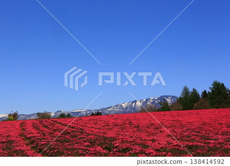 Red carpet and snow-covered mountains Red carpet and snow-covered mountains 138414592