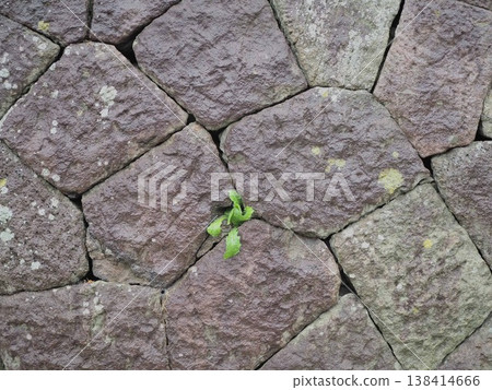 Close-up of the stone wall (Goryokaku) Close-up of the stone wall (Goryokaku) 138414666