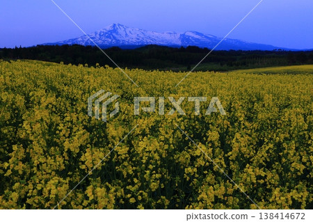 Mount Chokai as seen from a field of rapeseed flowers 138414672