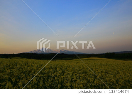 從油菜花田中眺望鳥海山 138414674