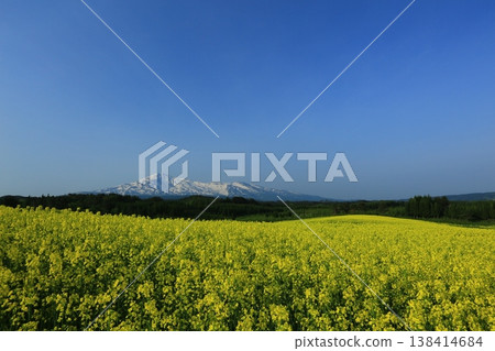 Mount Chokai as seen from a field of rapeseed flowers 138414684