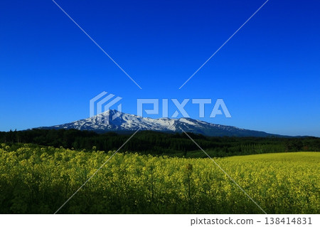 從油菜花田中眺望鳥海山 從油菜花田中眺望鳥海山 138414831