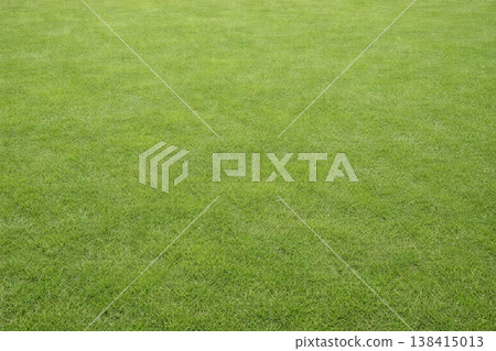 草坪花園 138415013