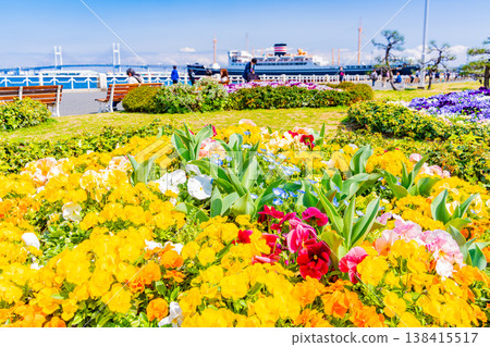 (Kanagawa Prefecture) Yokohama Minato Mirai, Yamashita Park: Flowers in the flowerbeds 138415517