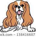 查理王小獵犬，配色方案，透明背景，犬類插圖 138416607