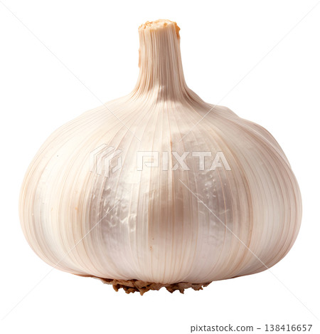 大蒜插圖材料 大蒜插圖材料 138416657