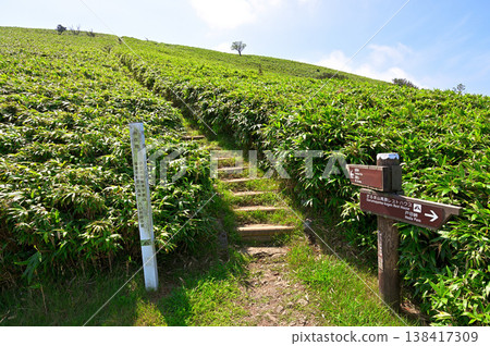 Izu Ridge Trail on the Izu Peninsula: Northern entrance to the trail leading to Mt. Daruma. Izu Ridge Trail on the Izu Peninsula: Northern entrance to the trail leading to Mt. Daruma. 138417309