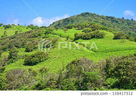Izu Mountain Ridge Trail on the Izu Peninsula: Green Little Daruma Mountain Izu Mountain Ridge Trail on the Izu Peninsula: Green Little Daruma Mountain 138417312