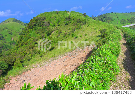 Izu Peninsula's Izuyama Ridge Trail: Mount Kokiyama summit in summer Izu Peninsula's Izuyama Ridge Trail: Mount Kokiyama summit in summer 138417493