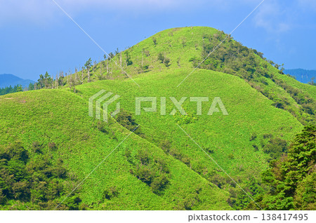 Izu Mountain Ridge Trail on the Izu Peninsula: Kokiyama Mountain, a lush green mountain area in summer. Izu Mountain Ridge Trail on the Izu Peninsula: Kokiyama Mountain, a lush green mountain area in summer. 138417495