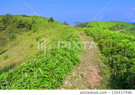 Izu Peninsula's Izuyama Ridge Trail: Mount Kokiyama summit in summer Izu Peninsula's Izuyama Ridge Trail: Mount Kokiyama summit in summer 138417496