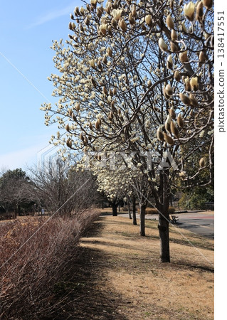 Scenery of Kumagaya Sports Culture Park in Kumagaya City, Saitama Prefecture 138417551
