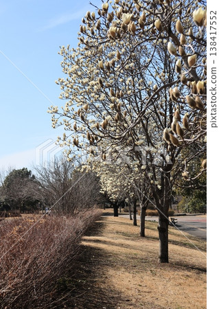 Scenery of Kumagaya Sports Culture Park in Kumagaya City, Saitama Prefecture 138417552