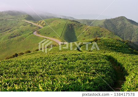 伊豆半島的伊豆山脊步道:從達摩山上可以欣賞到山脊步道、幸喜山和伊豆西部天際線的景色。 伊豆半島的伊豆山脊步道:從達摩山上可以欣賞到山脊步道、幸喜山和伊豆西部天際線的景色。 138417578