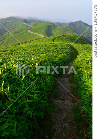 The Izu Ridge Trail on the Izu Peninsula: A view of the ridgeline trail, Mount Koki, and the West Izu Skyline from Mount Daruma. The Izu Ridge Trail on the Izu Peninsula: A view of the ridgeline trail, Mount Koki, and the West Izu Skyline from Mount Daruma. 138417579