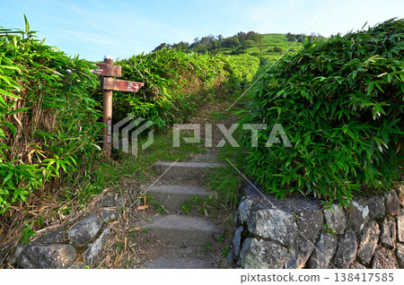 Izu Mountain Ridge Trail on the Izu Peninsula: Trailhead to Mt. Daruma at Toda Parking Lot 138417585