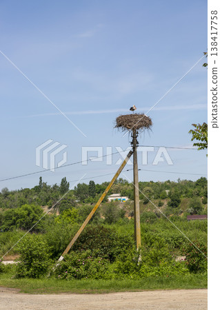 A stork's nest on a power pole against the sky 138417758