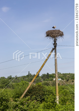 A stork's nest on a power pole against the sky 138417759