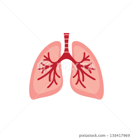 human lungs anatomy illustration 138417969