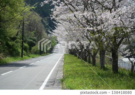 宮崎市田野町的櫻花 138418080