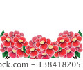A gorgeous camellia flower illustration 138418205