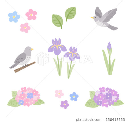 一組以初夏花卉和杜鵑鳥為主題的插圖。 一組以初夏花卉和杜鵑鳥為主題的插圖。 138418333