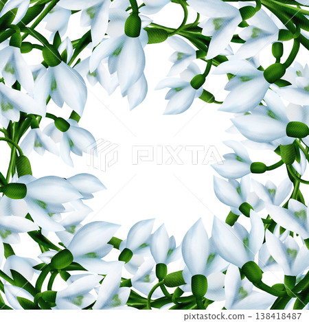 Square frame with white snowdrops, green branches, floral plant, snowdrop bloom with green leaves. Digital watercolor Square frame with white snowdrops, green branches, floral plant, snowdrop bloom with green leaves. Digital watercolor 138418487