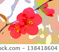 Scarlet quince (afr20260327153346) 138418604