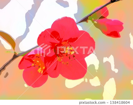 猩紅榅桲（afr20260327153346） 138418604