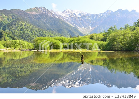Kamikochi, fresh green Kamikochi, fresh green 138418849