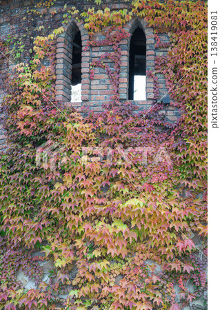 Bright leaves adorn an old brick wall 138419081