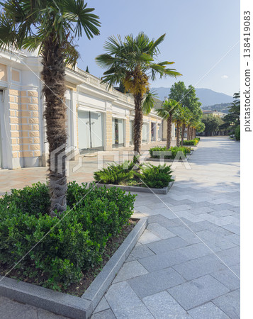 Palm trees in a sunny, green area 138419083