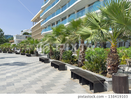 Palm trees line the walkway by buildings Palm trees line the walkway by buildings 138419103
