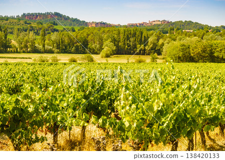 Vineyards and Roussillon on horizon. Vaucluse department of the Provence-Alpes-Cote d'Azur in France. Vineyards and Roussillon on horizon. Vaucluse department of the Provence-Alpes-Cote d'Azur in France. 138420133