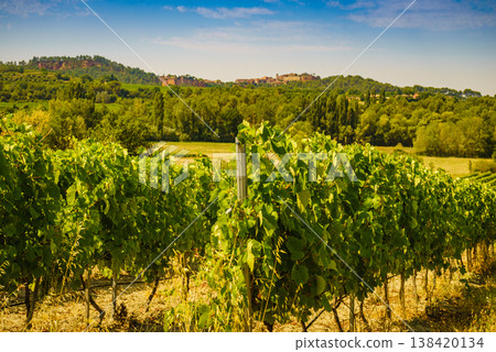 Vineyards and Roussillon on horizon. Vaucluse department of the Provence-Alpes-Cote d'Azur in France. Vineyards and Roussillon on horizon. Vaucluse department of the Provence-Alpes-Cote d'Azur in France. 138420134