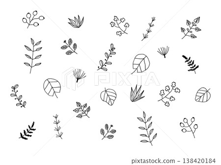 一組手繪植物插圖,例如葉子和堅果(黑色)。 一組手繪植物插圖,例如葉子和堅果(黑色)。 138420184
