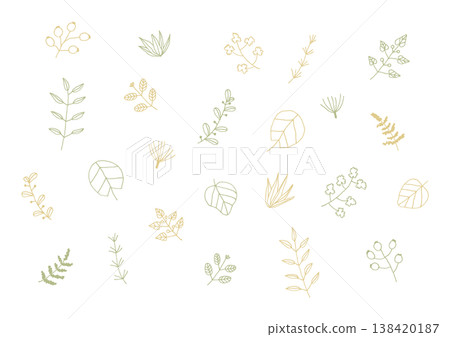 一組手繪植物插圖,例如葉子和堅果(黃色和綠色)。 一組手繪植物插圖,例如葉子和堅果(黃色和綠色)。 138420187
