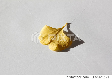 These are ginkgo leaves that have turned yellow. 138421521