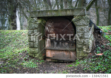 A door in a stone wall with a stone arch. High quality photo A door in a stone wall with a stone arch. High quality photo 138421561