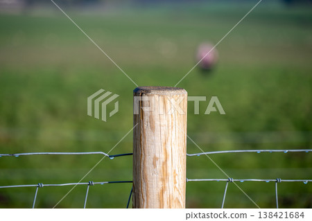 Wooden fence post stands next to wire fence on a farm under a bright sky with green grass in the background Wooden fence post stands next to wire fence on a farm under a bright sky with green grass in the background 138421684
