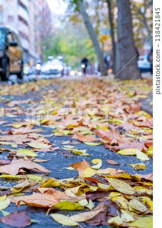 Gathering fallen leaves on a street in autumn during a cool afternoon near parked cars and moving traffic Gathering fallen leaves on a street in autumn during a cool afternoon near parked cars and moving traffic 138421845