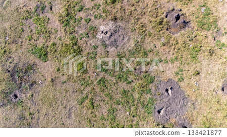 aerial view looking down over a vast field of Prairie dog burrows and tunnel openings aerial view looking down over a vast field of Prairie dog burrows and tunnel openings 138421877