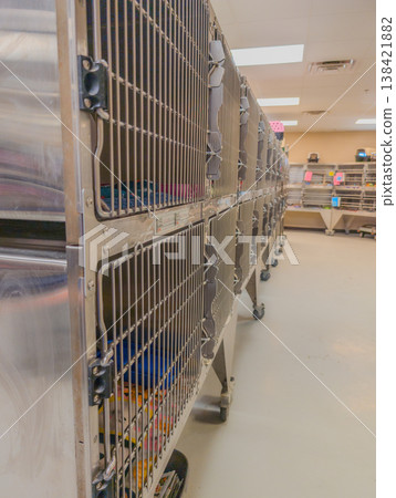 Row of animal cages in a shelter during the day showing several pets waiting for adoption and care 138421882