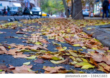 Leaves cover a city street during autumn season while cars pass by in the background 138421883