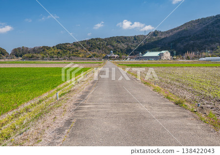 A single road cutting through the countryside - Azuchi, Omihachiman City, Shiga Prefecture 138422043