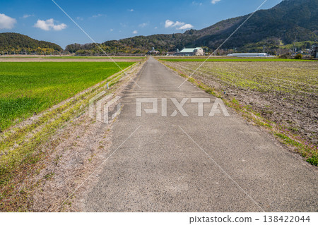 A single road cutting through the countryside - Azuchi, Omihachiman City, Shiga Prefecture 138422044
