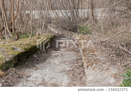 Mossy Concrete Path Winding Through Bare Winter Woods With Green Patches And Fallen Leaves Creating Natural Serene Atmosphere Mossy Concrete Path Winding Through Bare Winter Woods With Green Patches And Fallen Leaves Creating Natural Serene Atmosphere 138422371