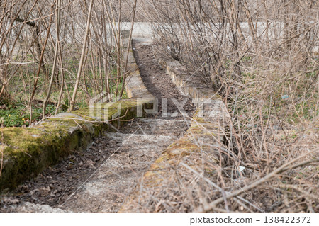 Overgrown Mossy Stone Pathway Winding Through Bare Winter Bushes Leading Uphill in Natural Forest Setting with Earthy Tones and Textured Ground Cover Overgrown Mossy Stone Pathway Winding Through Bare Winter Bushes Leading Uphill in Natural Forest Setting with Earthy Tones and Textured Ground Cover 138422372